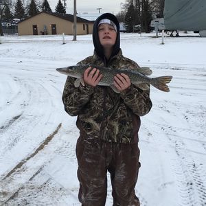 Meet your Posher, Logan